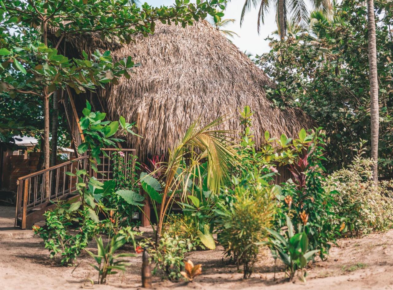 Los Hermanos Beach Hostal Guachaca Buitenkant foto